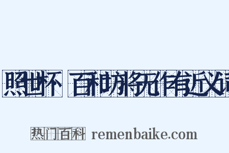 照世杯·百和坊将无作有近义词是什么意思的图片